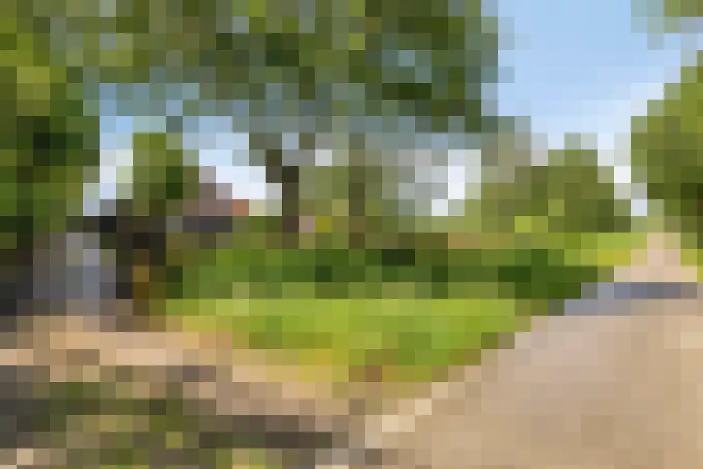 Baarleseweg 68 Chaam thumbnail 54