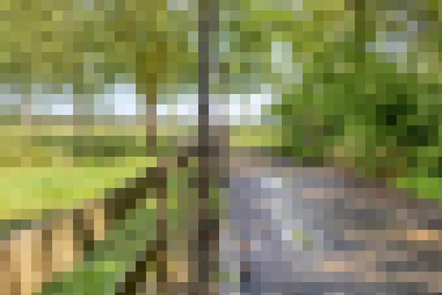 Baarleseweg 68 Chaam thumbnail 56