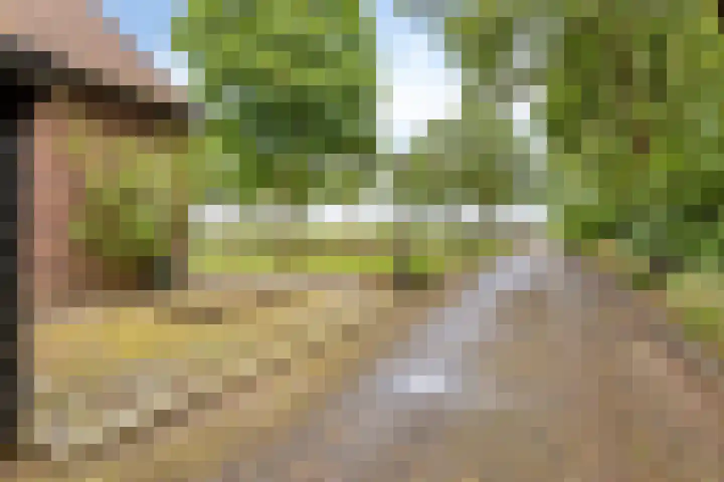 Baarleseweg 68 Chaam thumbnail 57