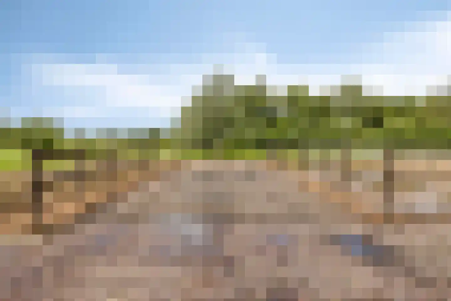 Baarleseweg 68 Chaam thumbnail 68