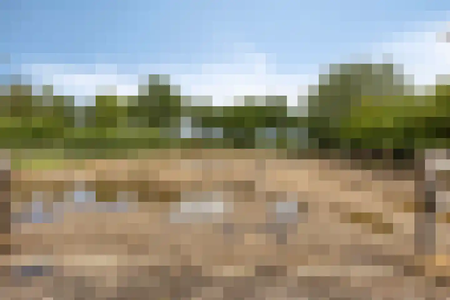 Baarleseweg 68 Chaam thumbnail 69
