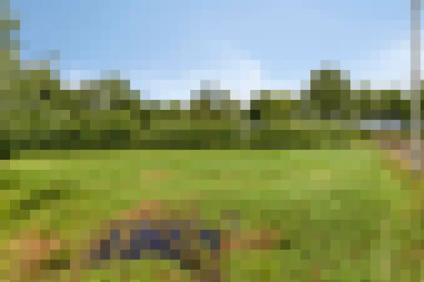 Baarleseweg 68 Chaam thumbnail 70