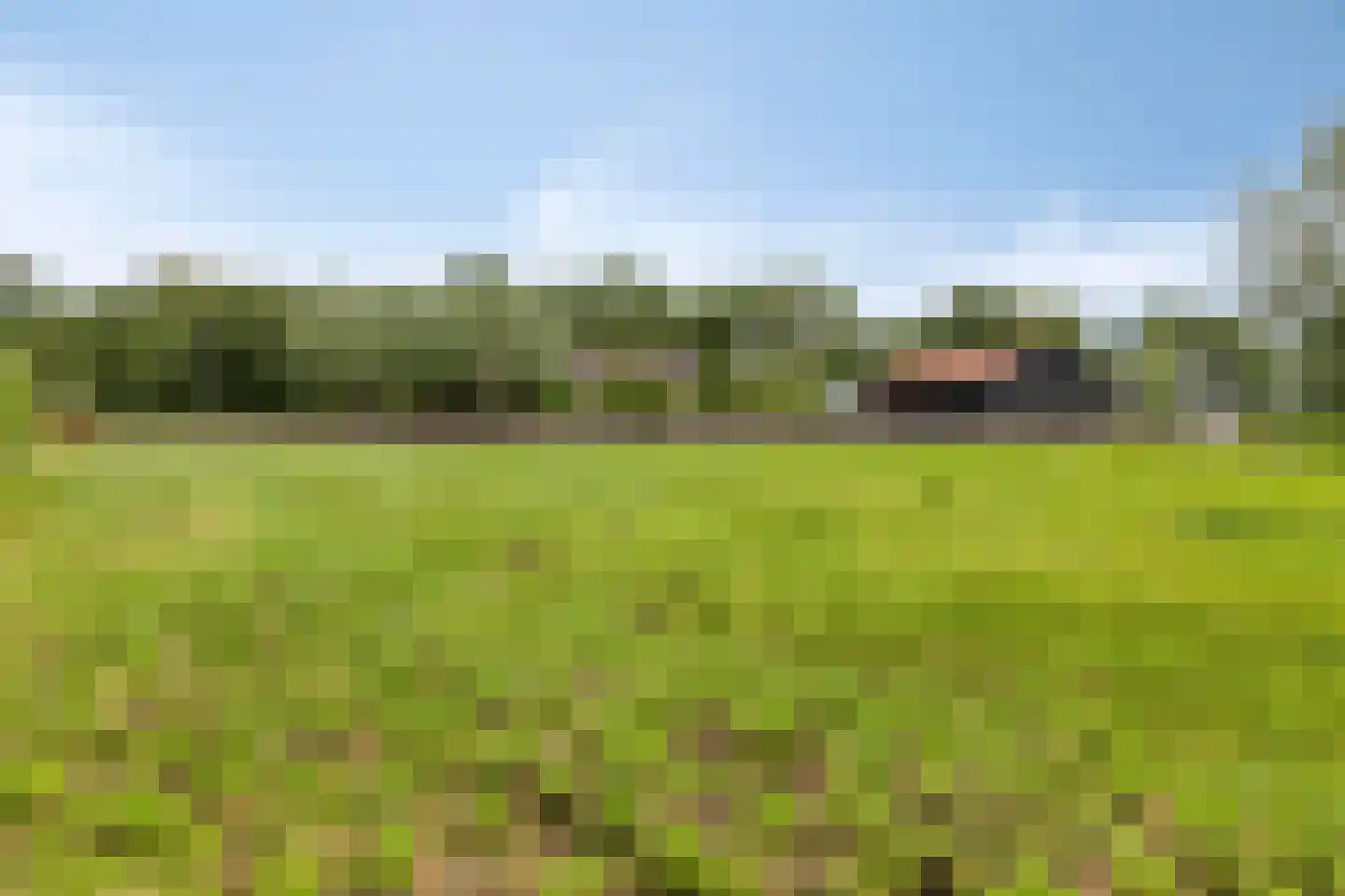 Baarleseweg 68 Chaam thumbnail 71