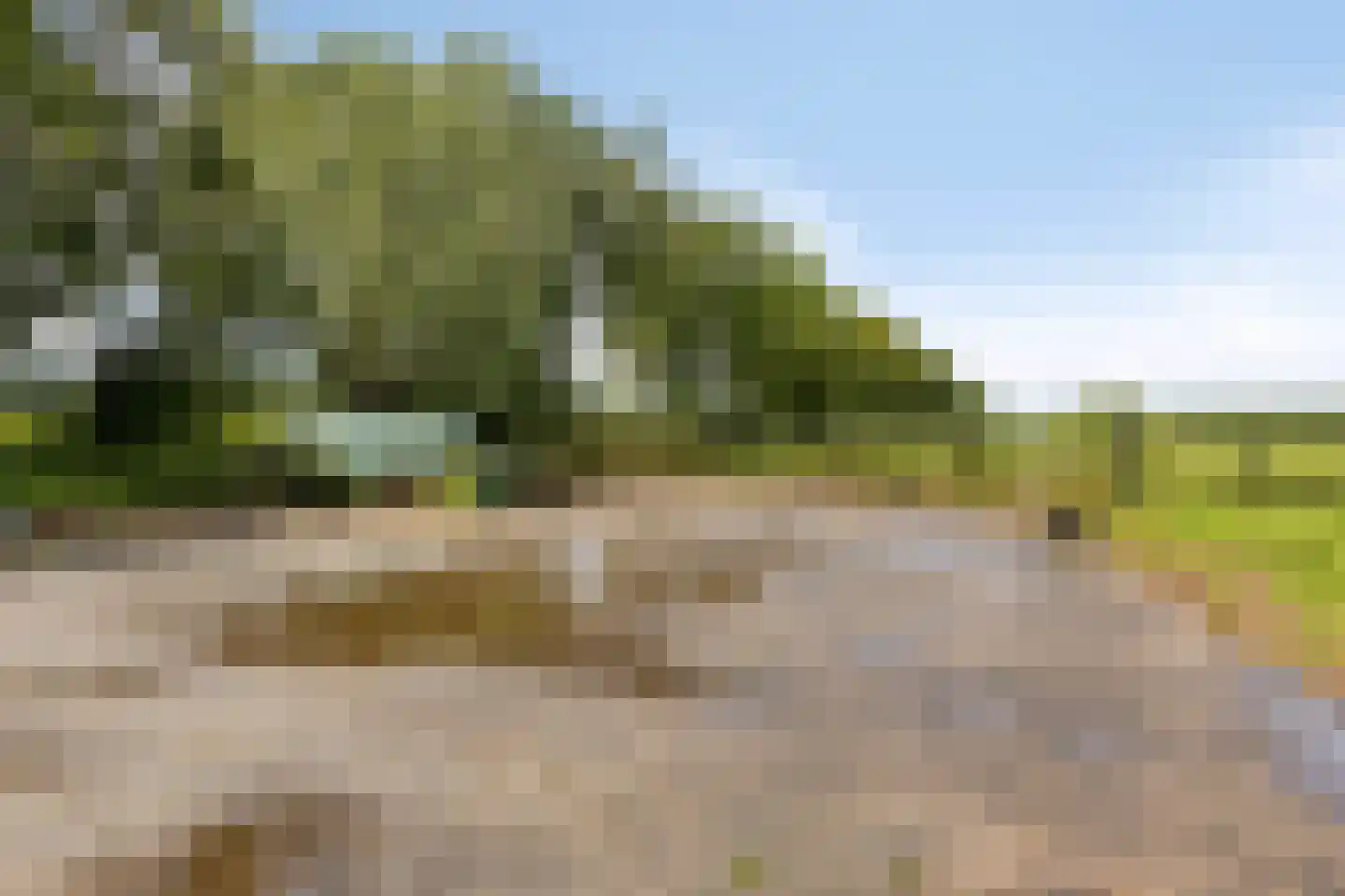 Baarleseweg 68 Chaam thumbnail 75