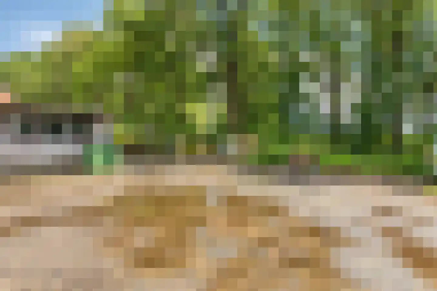 Baarleseweg 68 Chaam thumbnail 76
