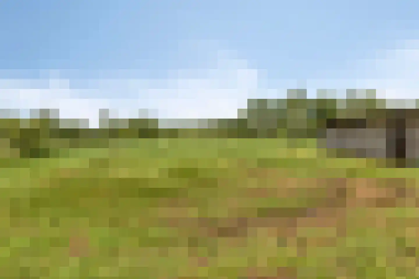 Baarleseweg 68 Chaam thumbnail 77