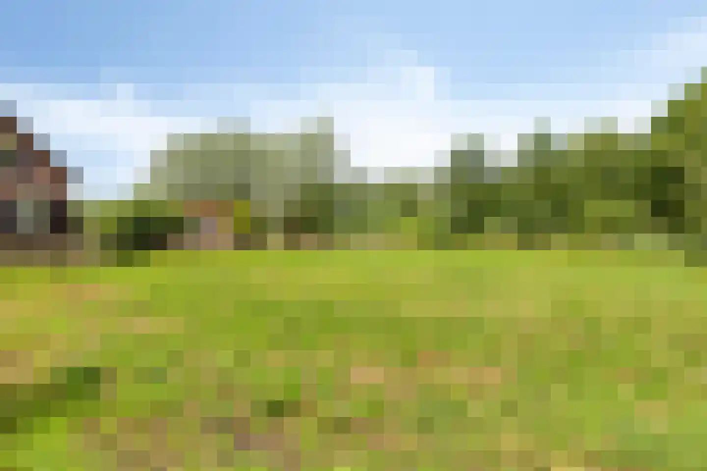 Baarleseweg 68 Chaam thumbnail 78