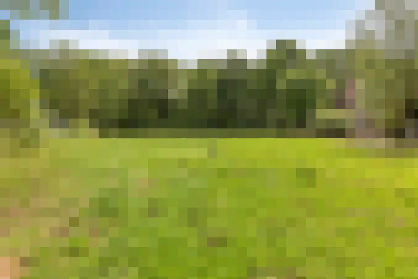 Baarleseweg 68 Chaam thumbnail 79