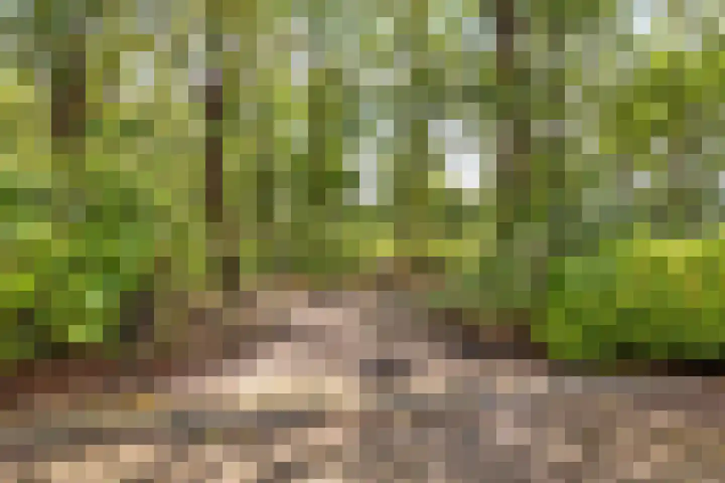 Baarleseweg 68 Chaam thumbnail 92