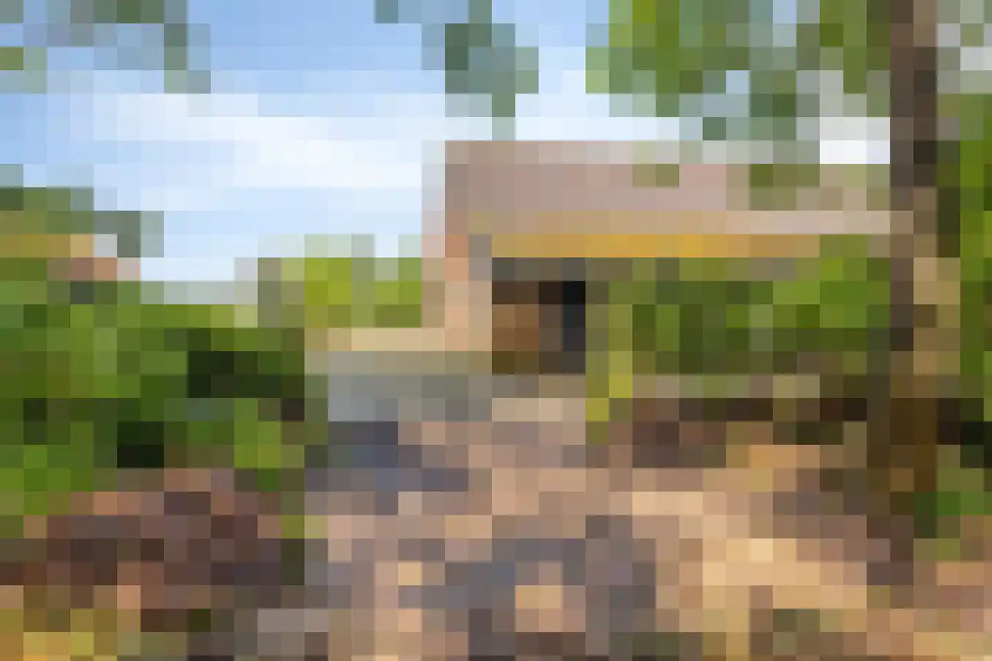 Baarleseweg 68 Chaam thumbnail 93