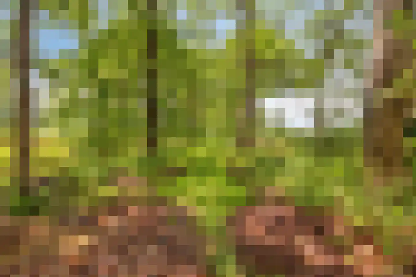 Baarleseweg 68 Chaam thumbnail 94