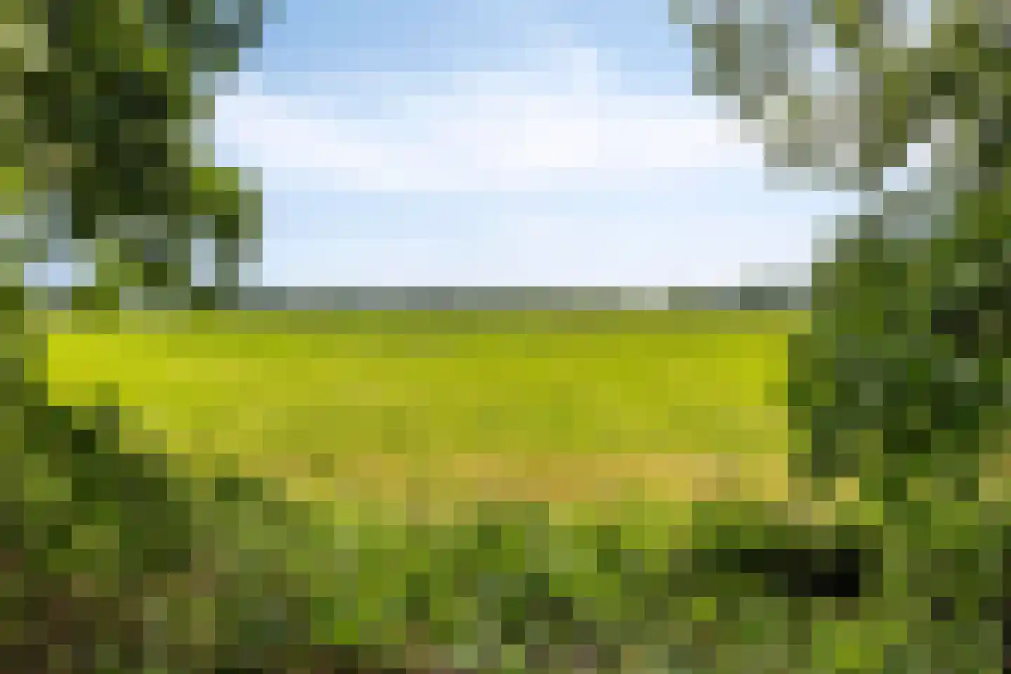 Baarleseweg 68 Chaam thumbnail 95