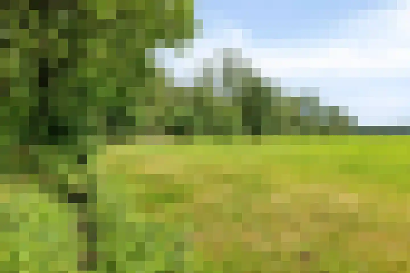 Baarleseweg 68 Chaam thumbnail 96