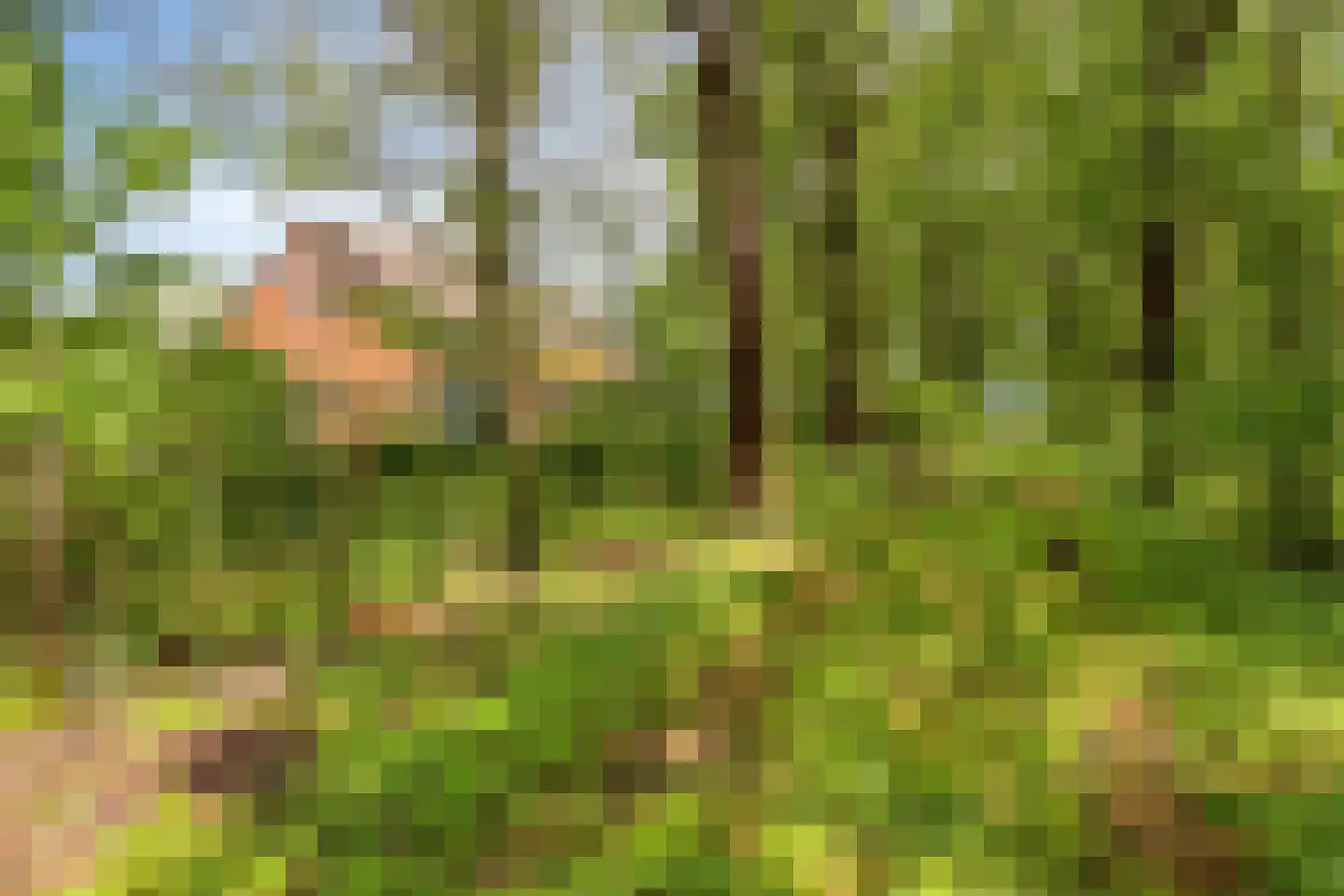 Baarleseweg 68 Chaam thumbnail 98