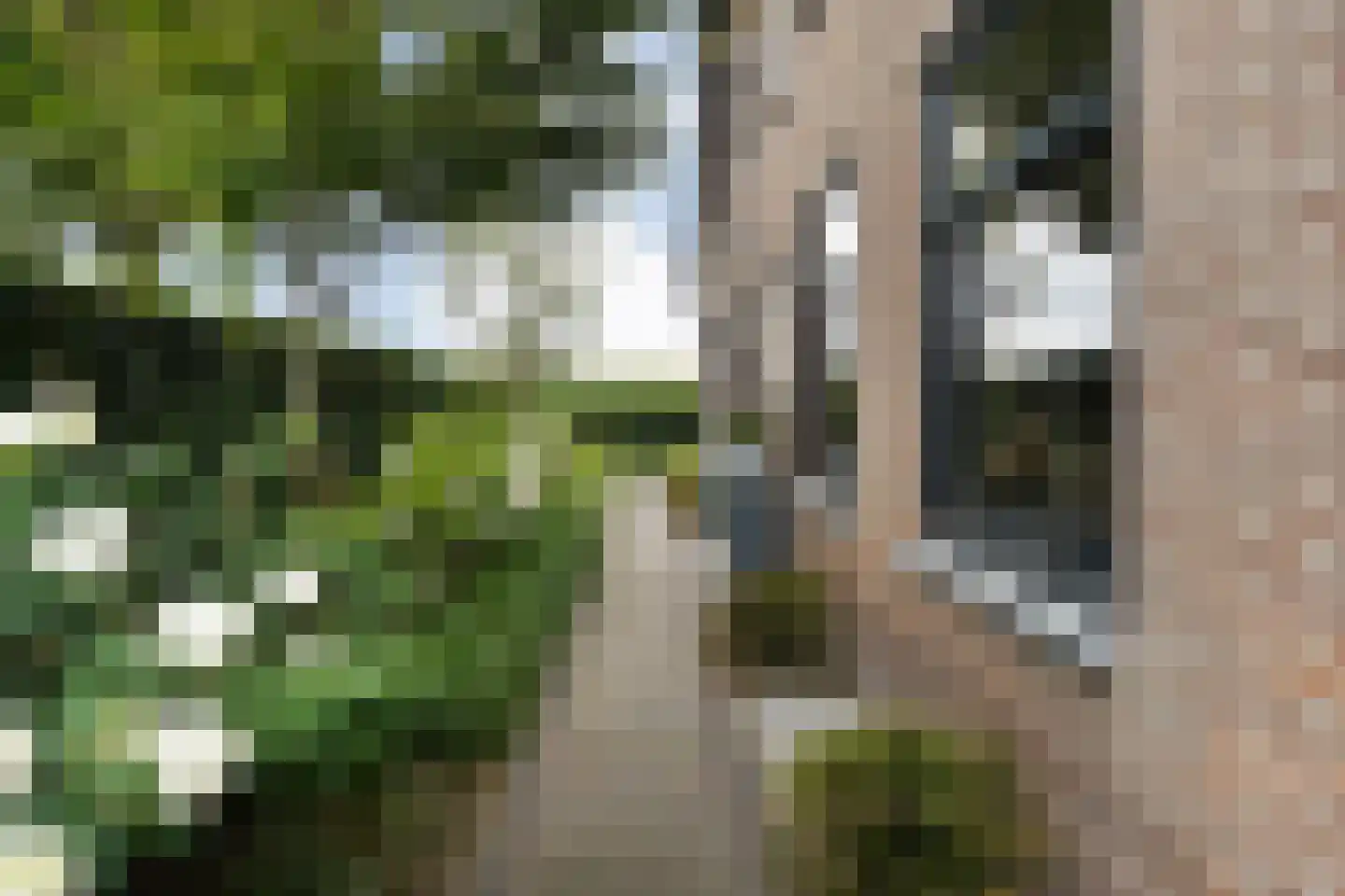 Baarlo 2 Baarlo thumbnail 13