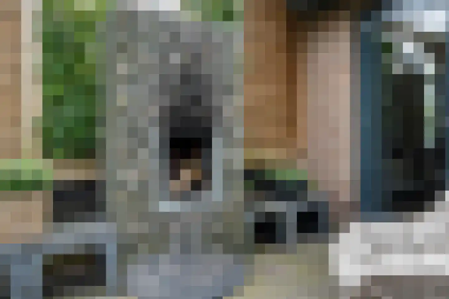 Baarlo 2 Baarlo thumbnail 64