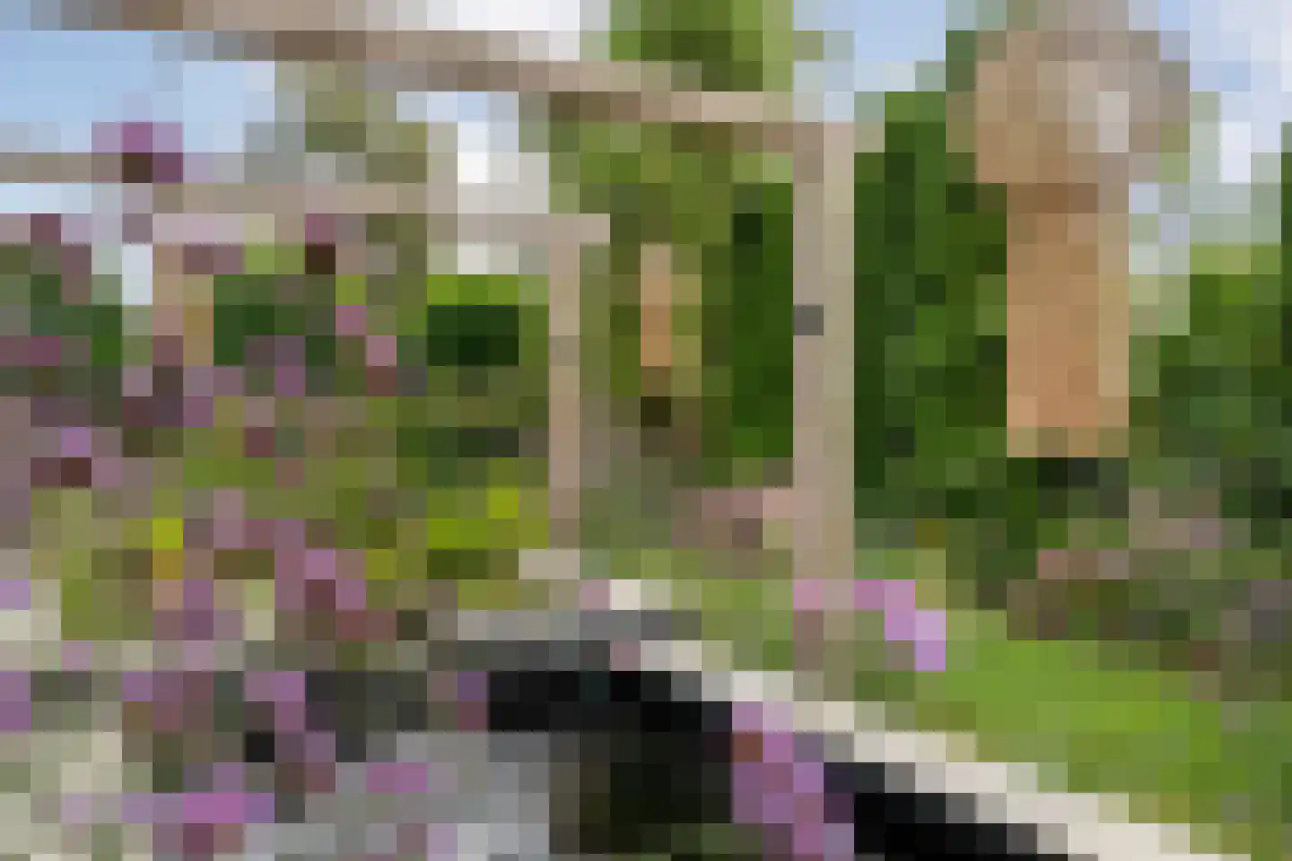 Baarlo 2 Baarlo thumbnail 69