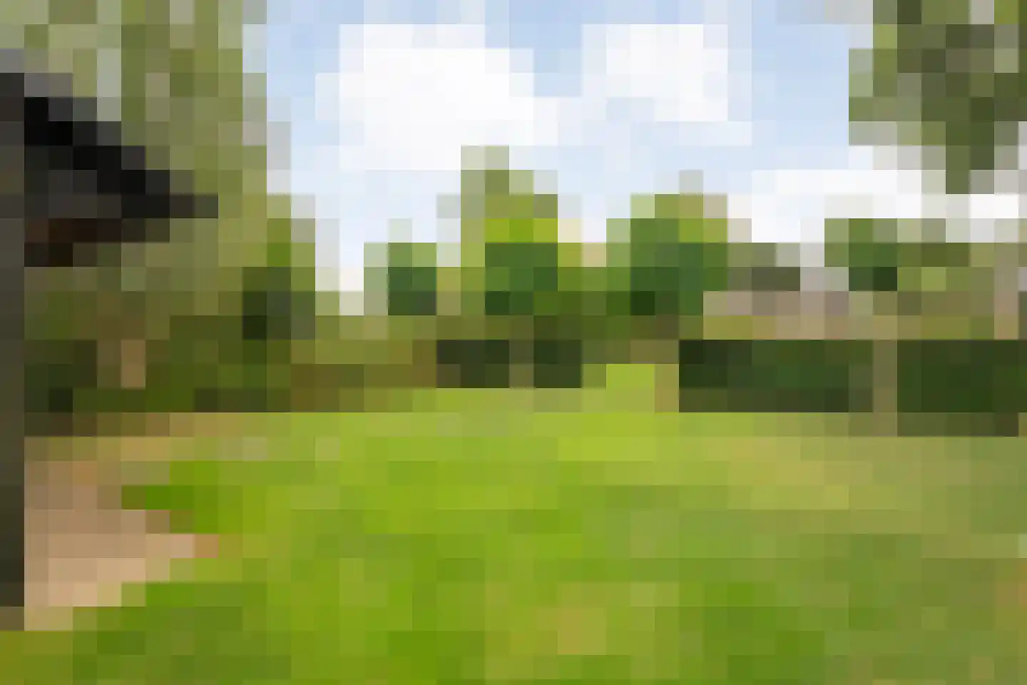 Baarlo 2 Baarlo thumbnail 71