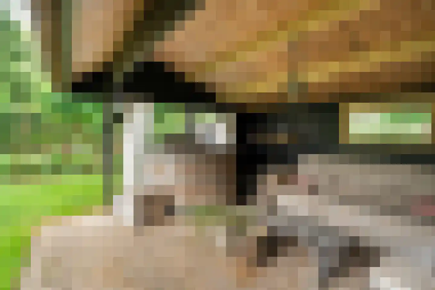 Baarlo 2 Baarlo thumbnail 72