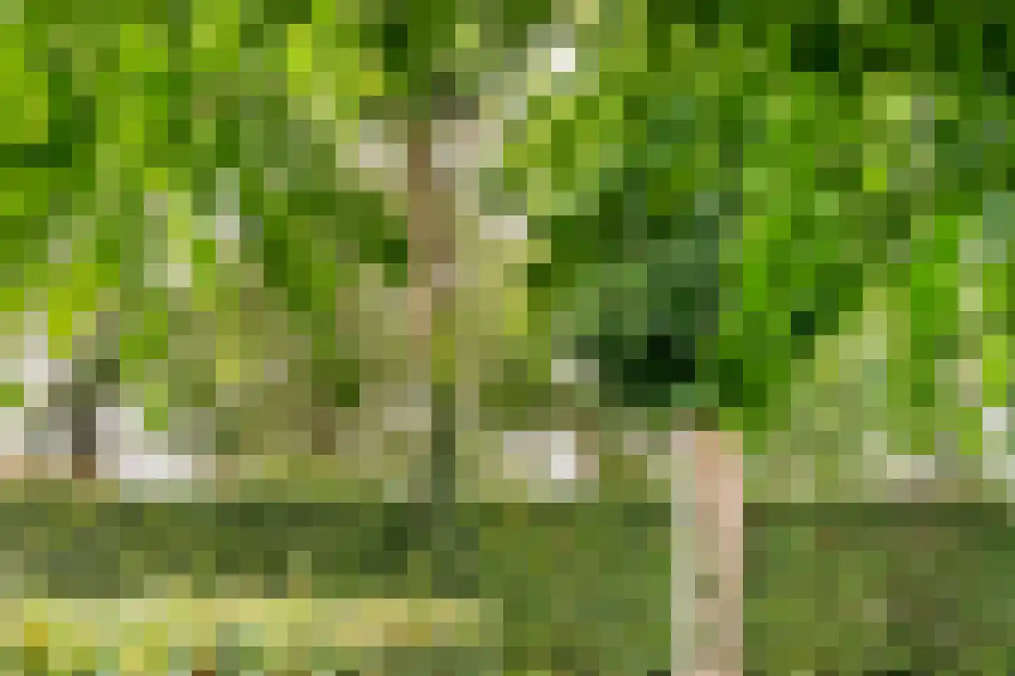 Baarlo 2 Baarlo thumbnail 73