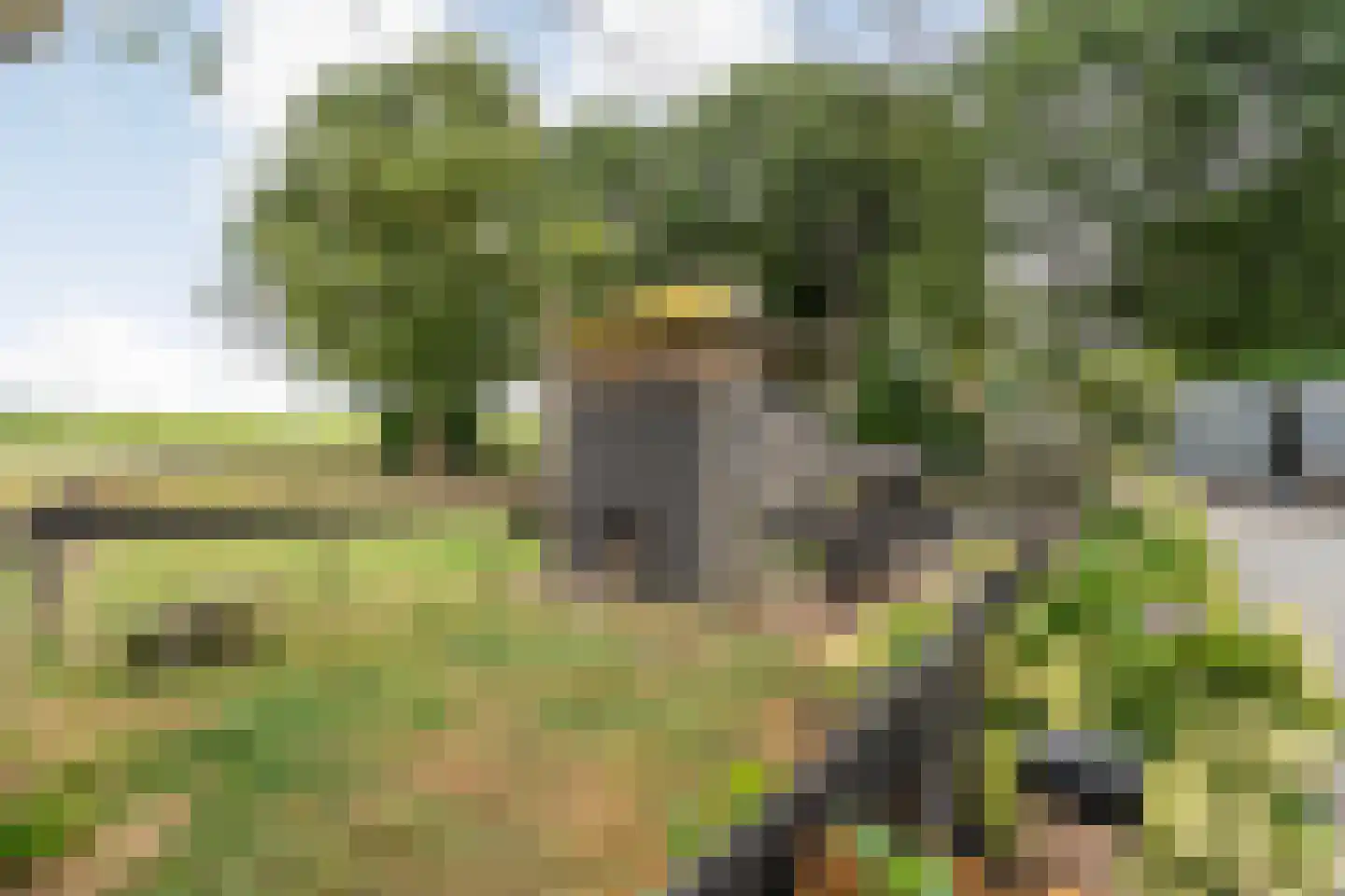 Baarlo 2 Baarlo thumbnail 75