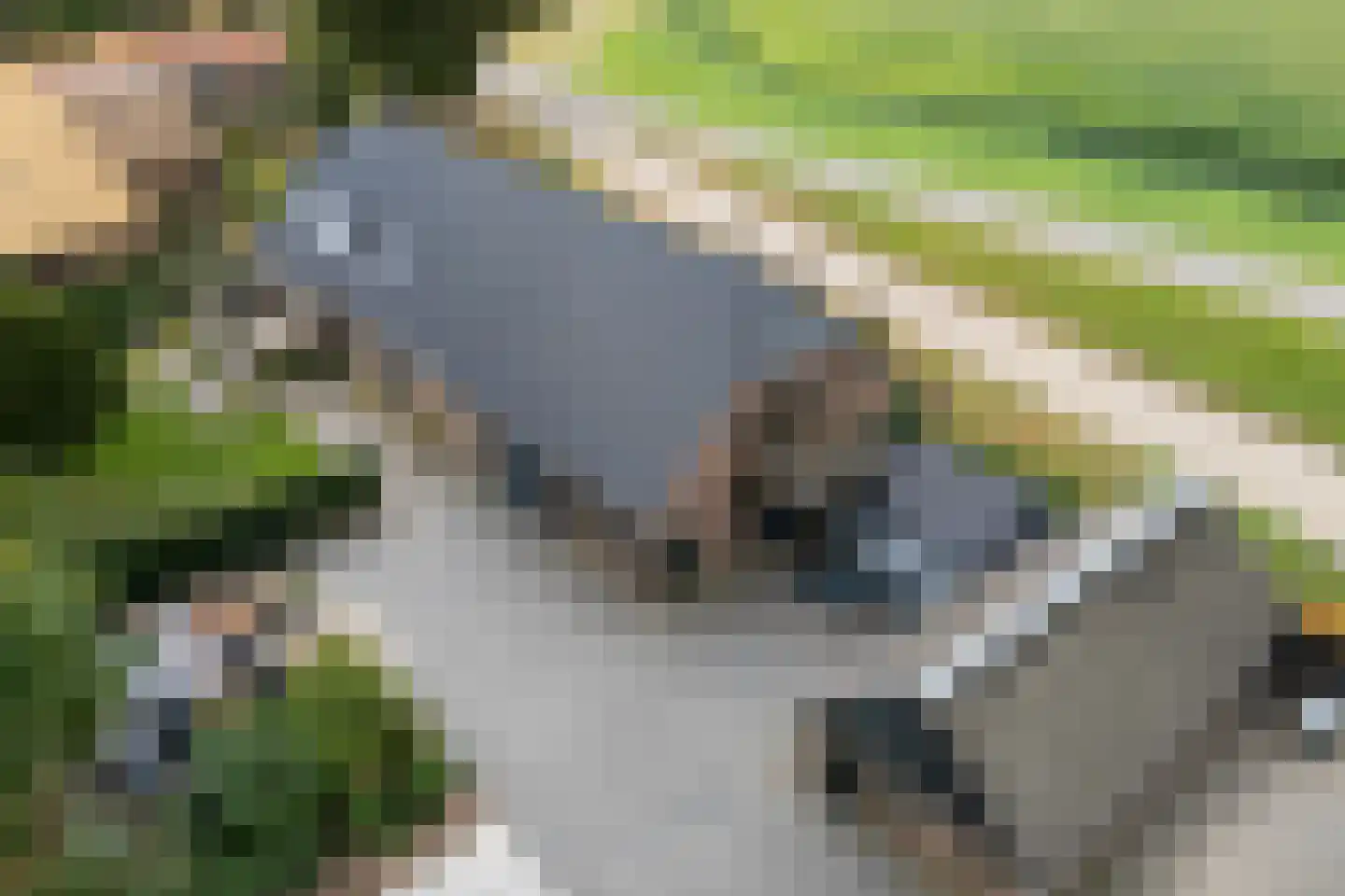 Baarlo 2 Baarlo thumbnail 8
