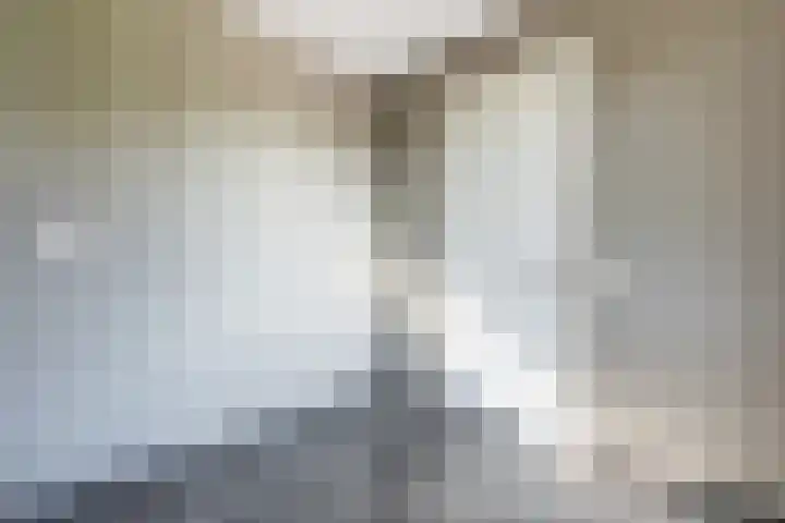 Baarlo 8 Baarlo thumbnail 20