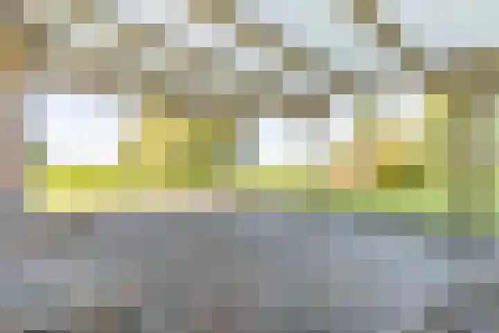 Baarlo 8 Baarlo thumbnail 41