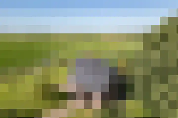 Baarlo 8 Baarlo thumbnail 42