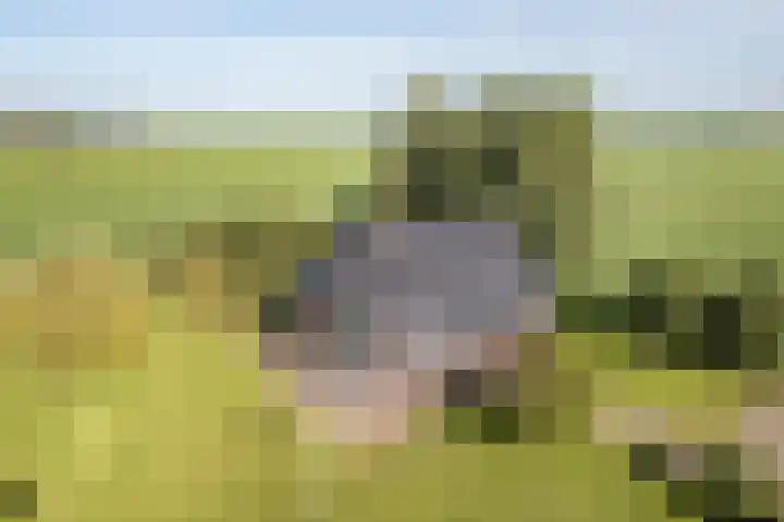 Baarlo 8 Baarlo thumbnail 44
