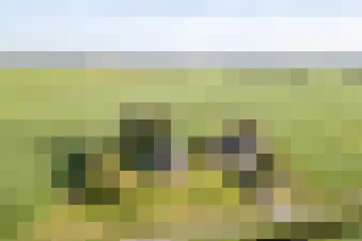 Baarlo 8 Baarlo thumbnail 47