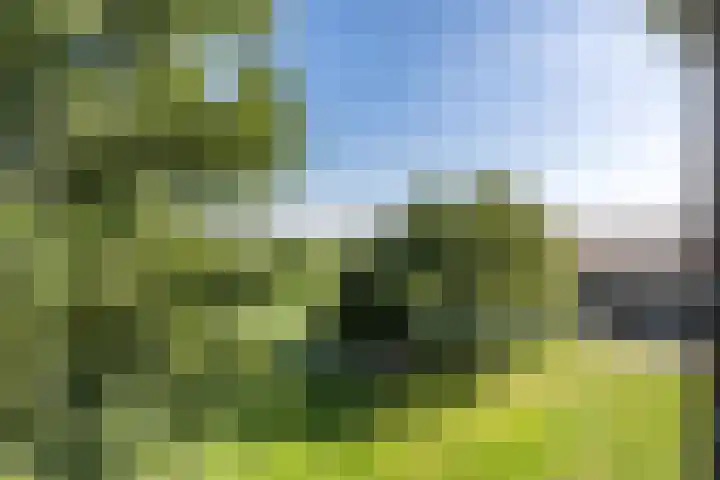 Baarlo 8 Baarlo thumbnail 48