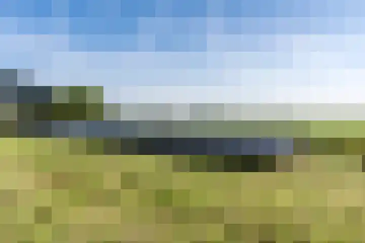 Baarlo 8 Baarlo thumbnail 51