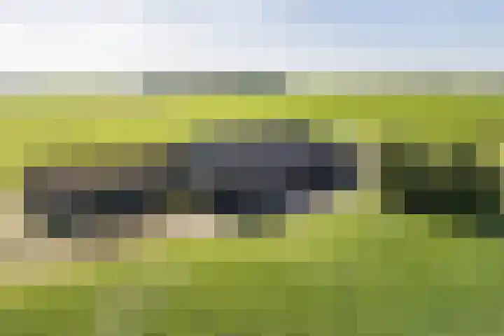 Baarlo 8 Baarlo thumbnail 53
