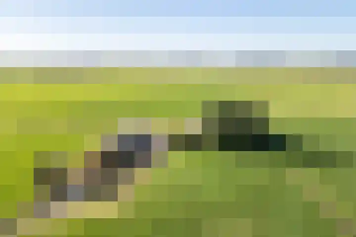 Baarlo 8 Baarlo thumbnail 55