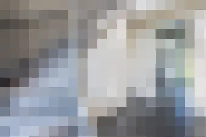 Baarlo 8 Baarlo thumbnail 9