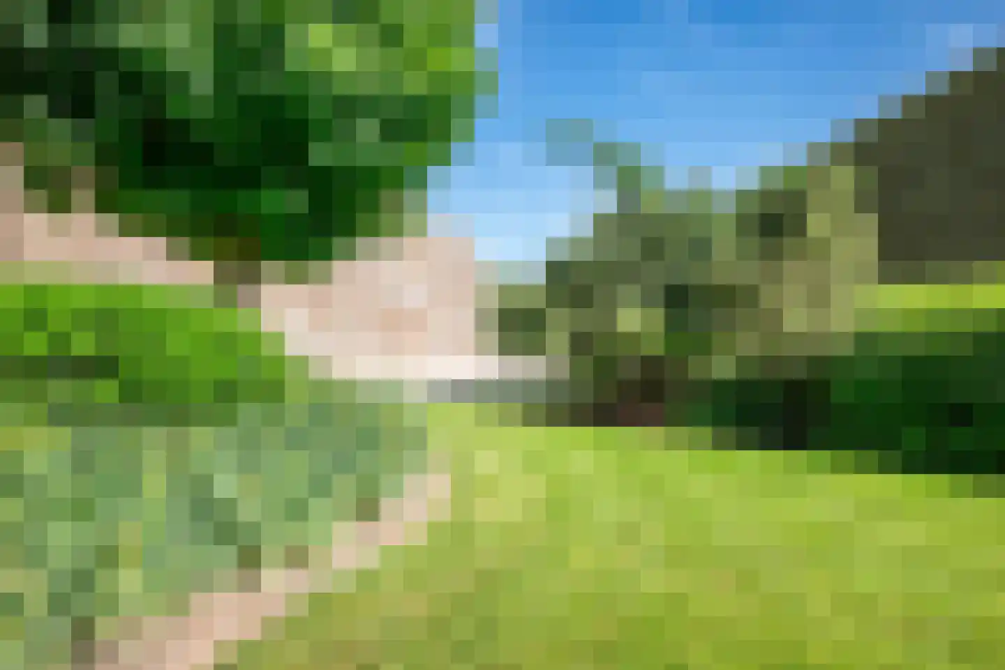 Baarlosedwarsweg 2 Marknesse thumbnail 11