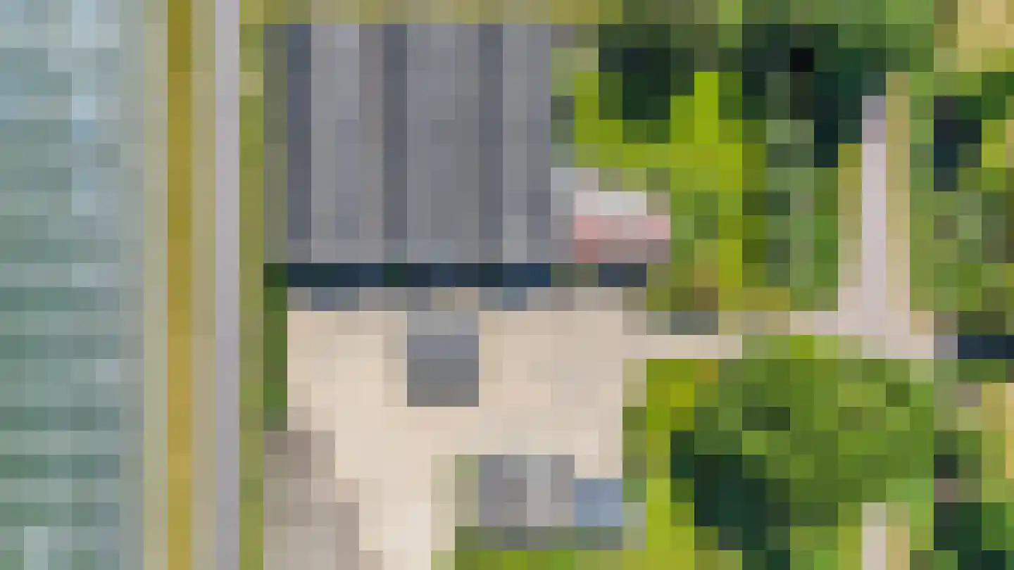 Baarlosedwarsweg 2 Marknesse thumbnail 13