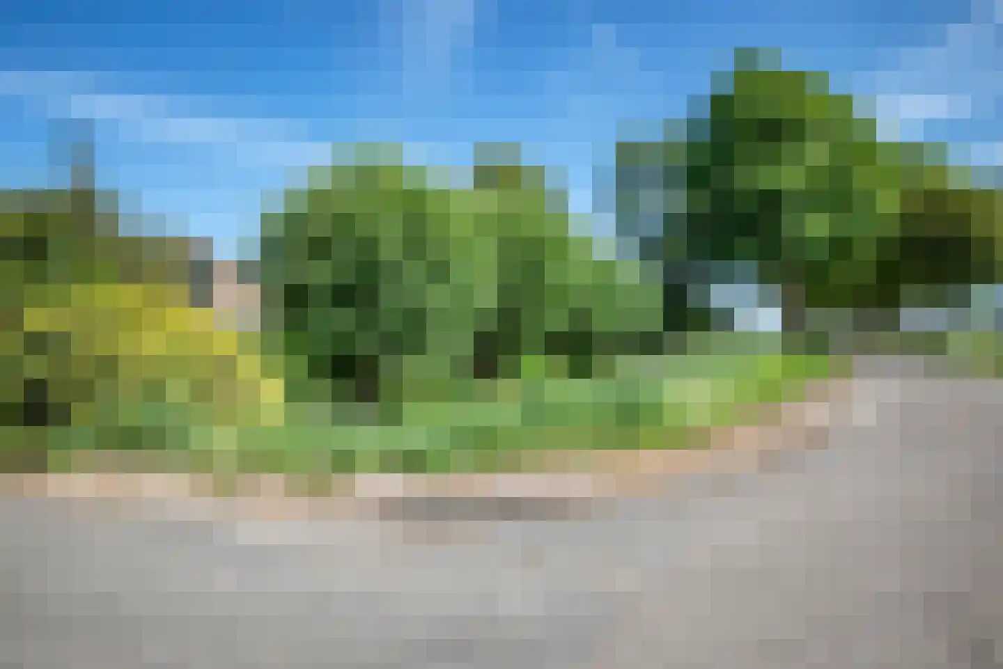 Baarlosedwarsweg 2 Marknesse thumbnail 20