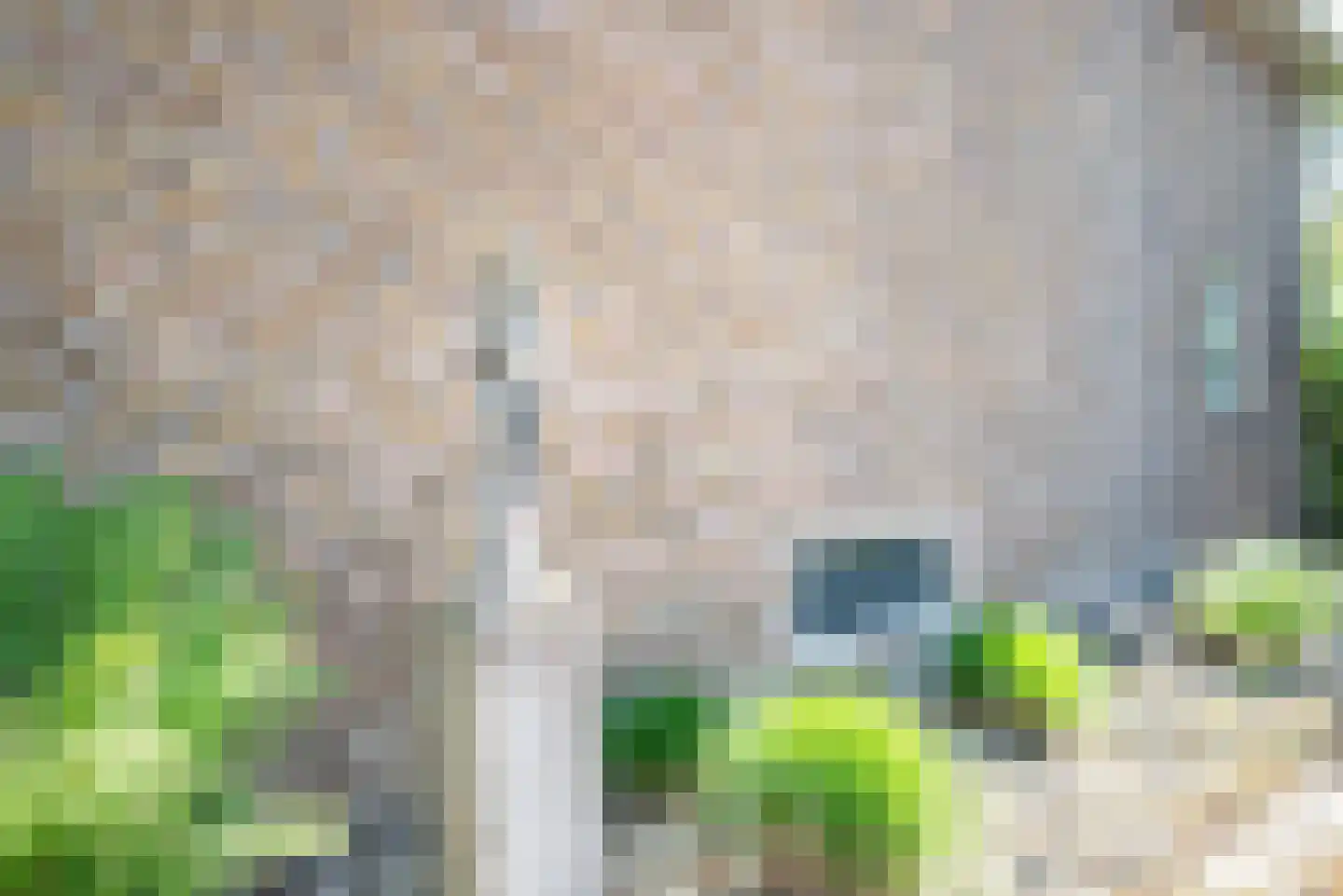 Baarlosedwarsweg 2 Marknesse thumbnail 24