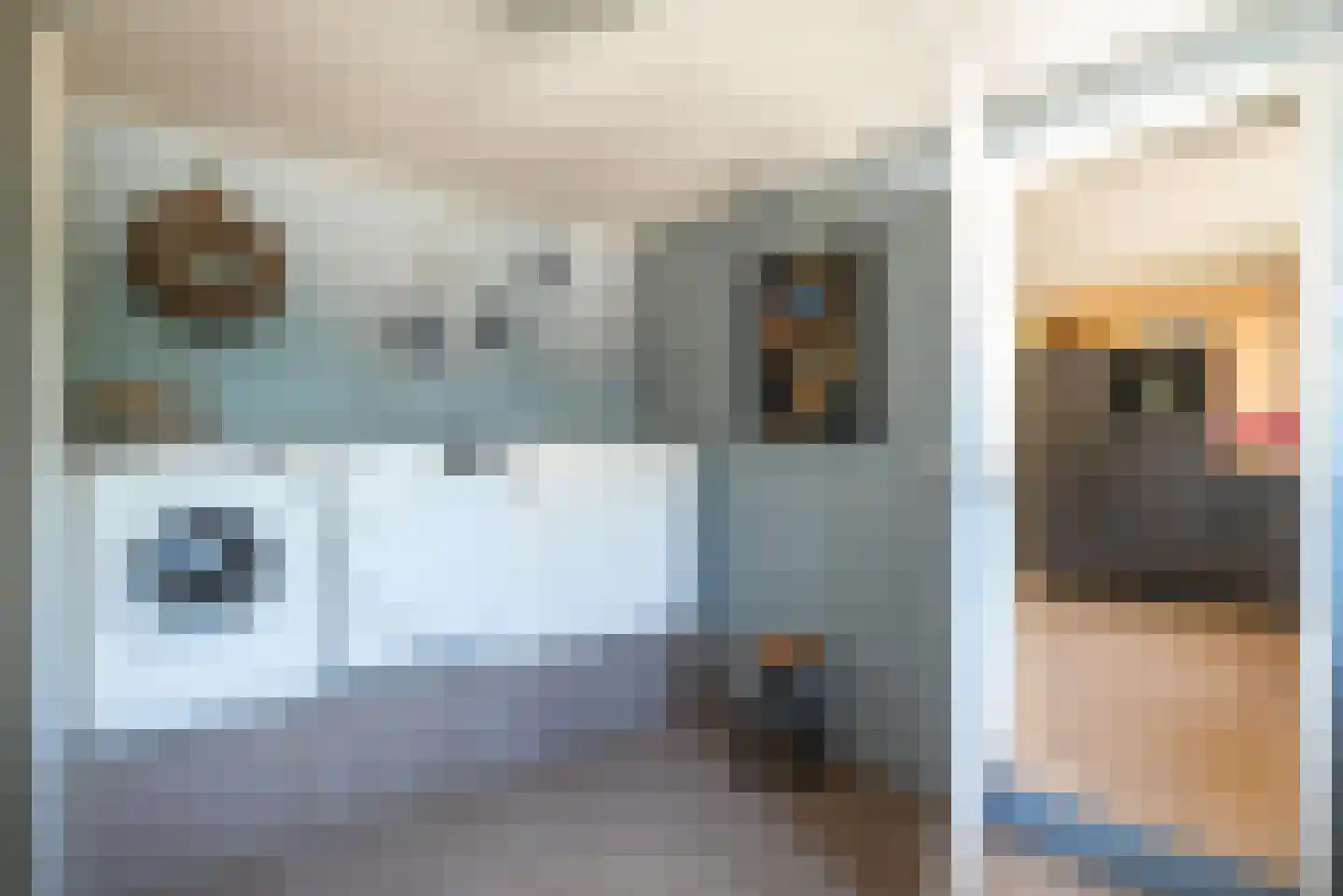 Baarlosedwarsweg 2 Marknesse thumbnail 26