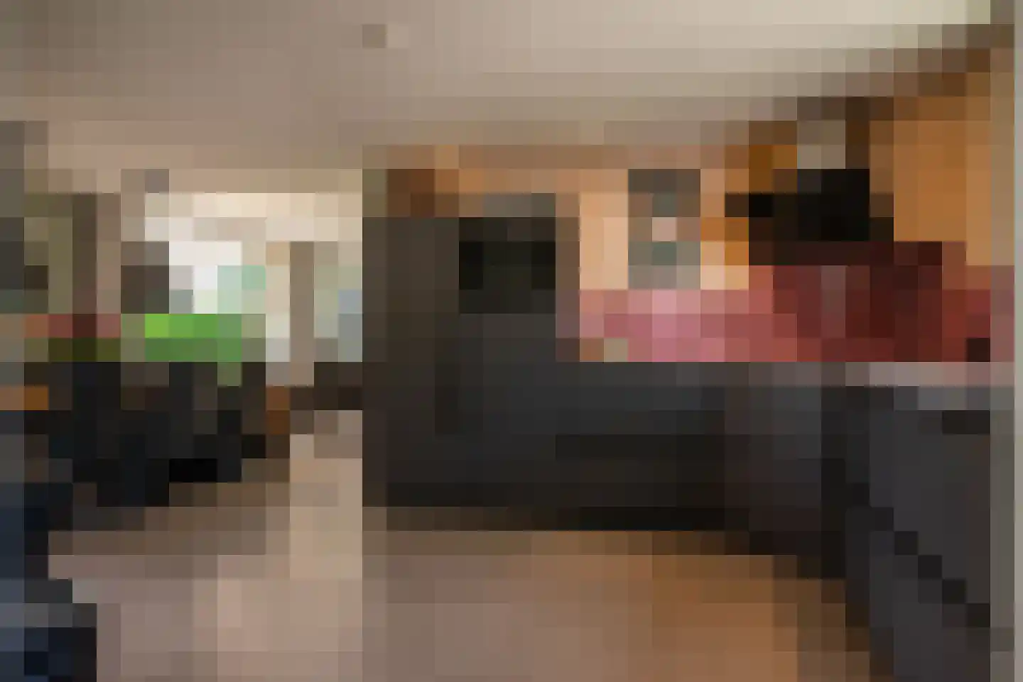 Baarlosedwarsweg 2 Marknesse thumbnail 27