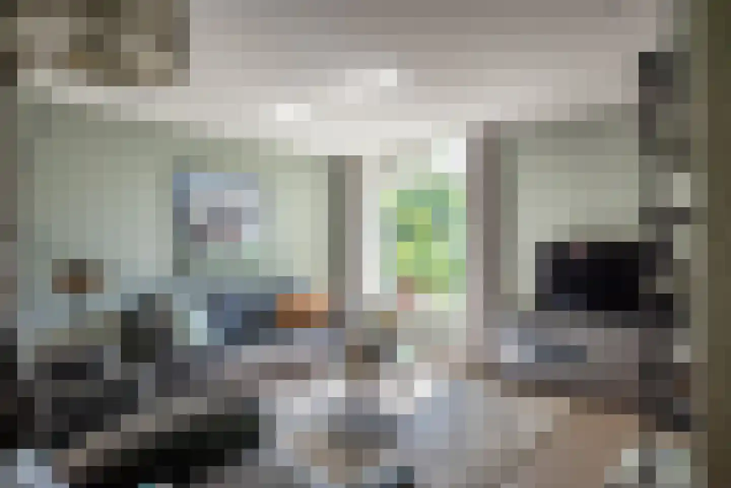Baarlosedwarsweg 2 Marknesse thumbnail 36