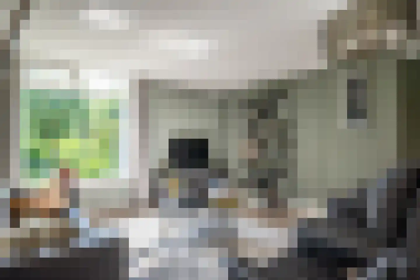 Baarlosedwarsweg 2 Marknesse thumbnail 37