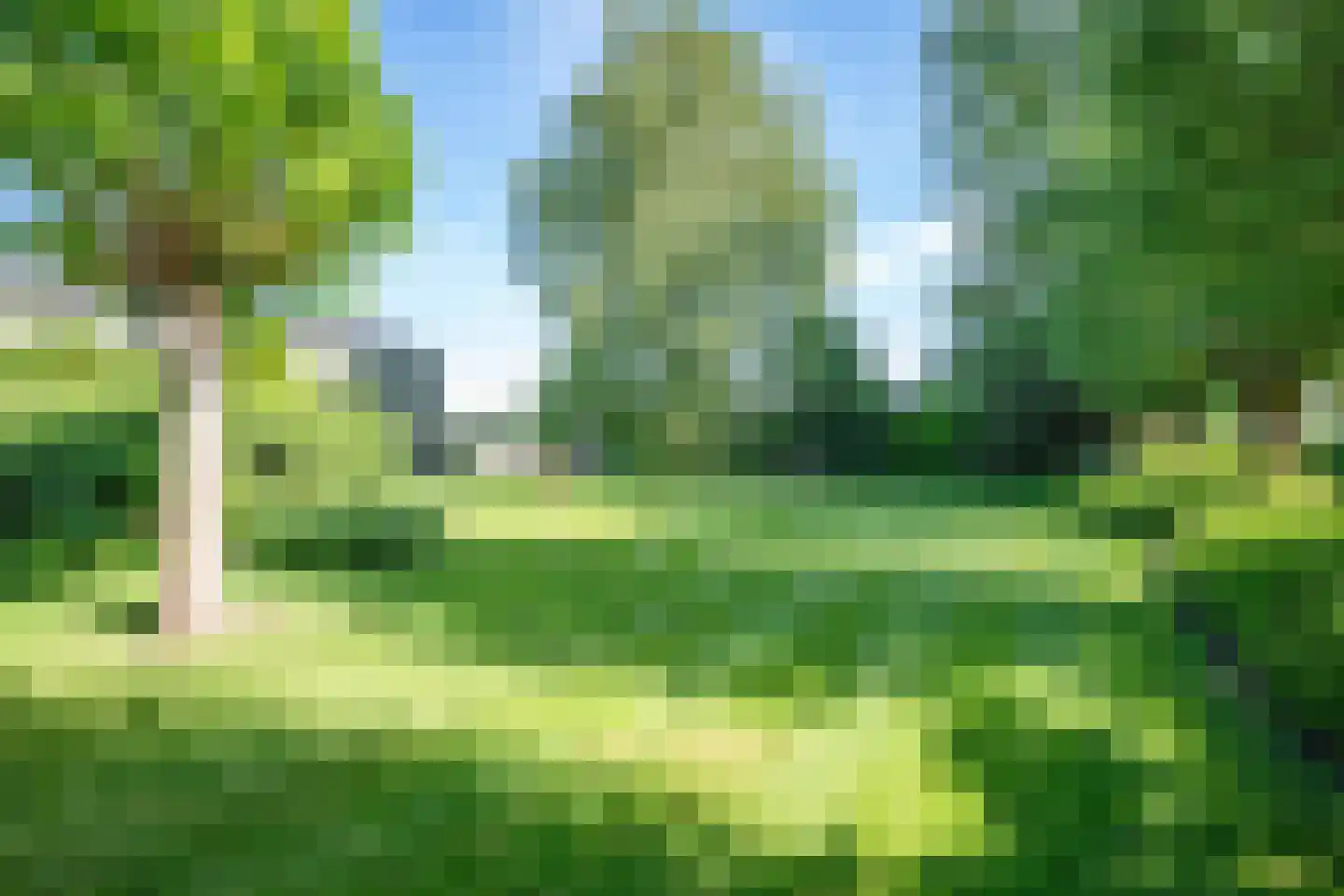 Baarlosedwarsweg 2 Marknesse thumbnail 4