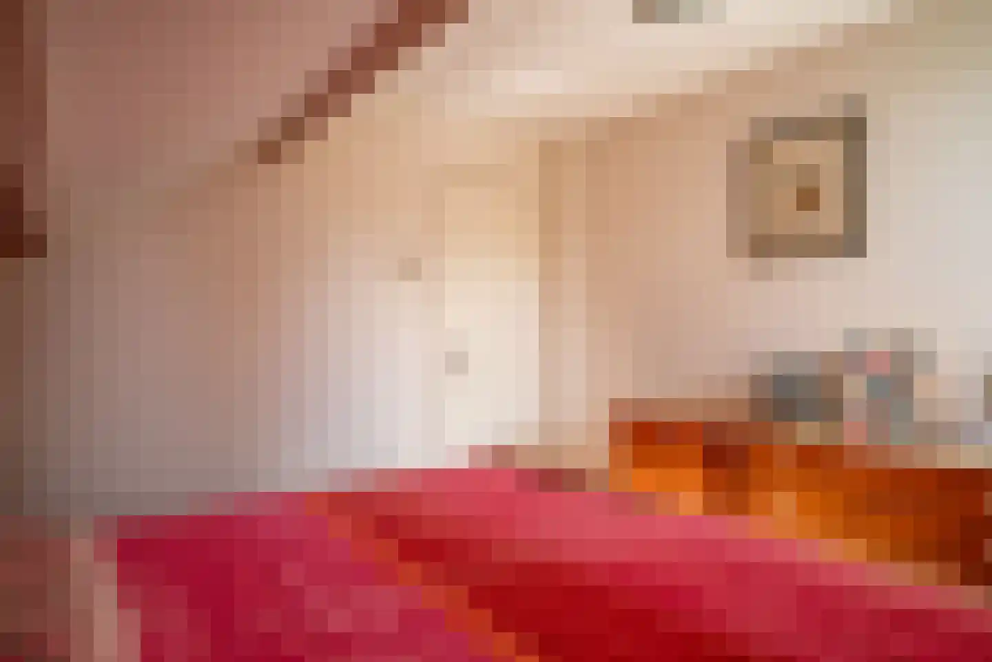 Baarlosedwarsweg 2 Marknesse thumbnail 45