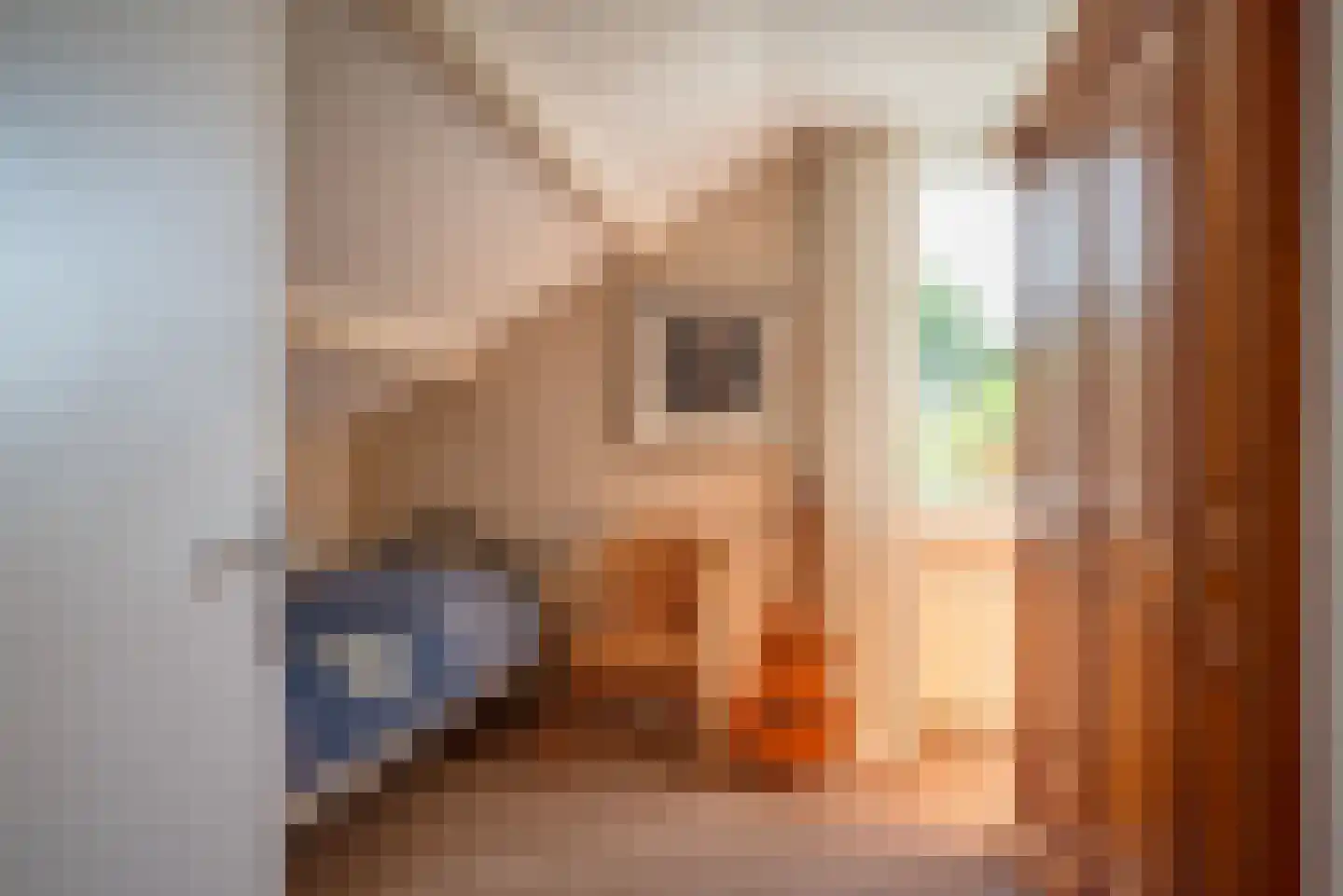 Baarlosedwarsweg 2 Marknesse thumbnail 48