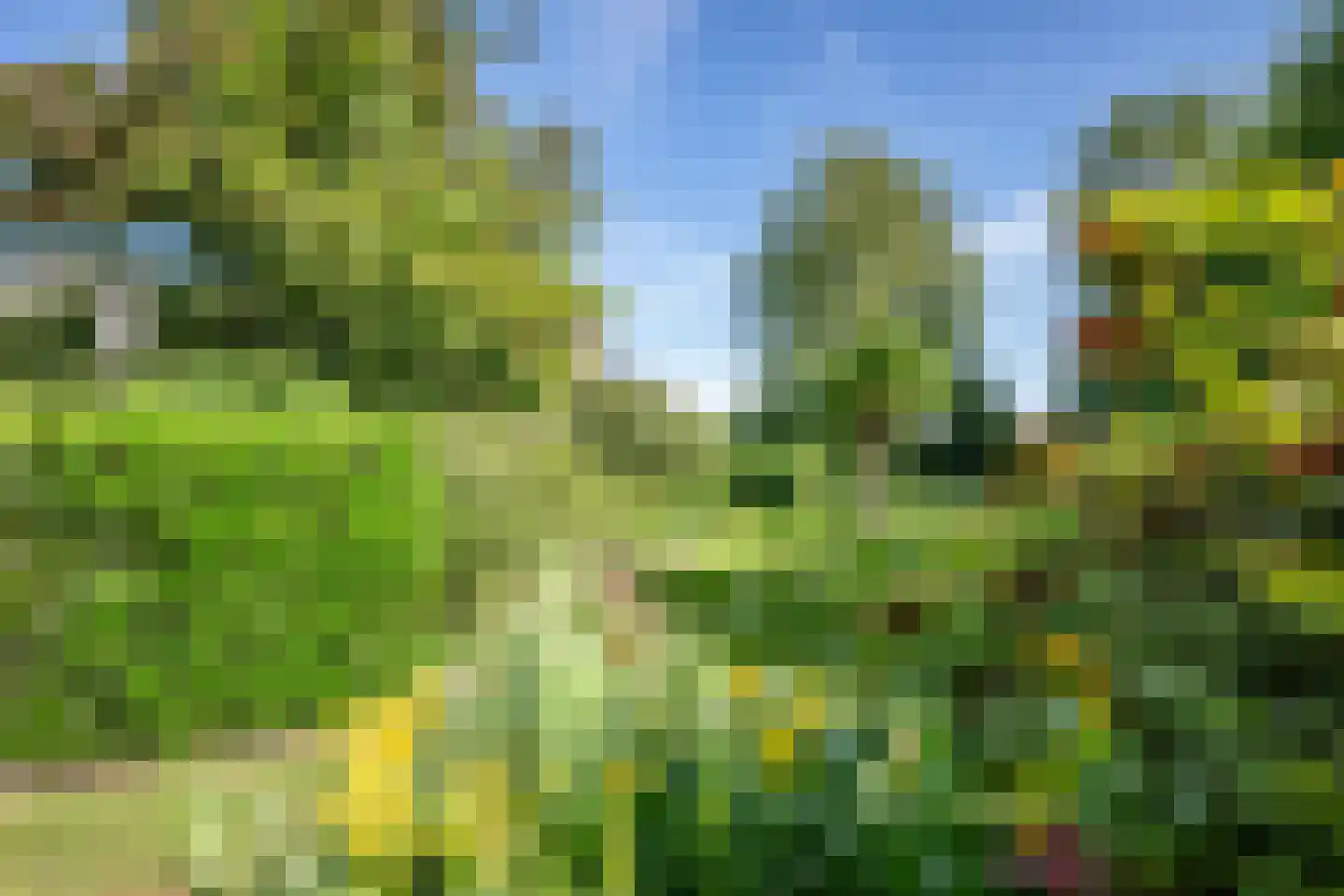 Baarlosedwarsweg 2 Marknesse thumbnail 5