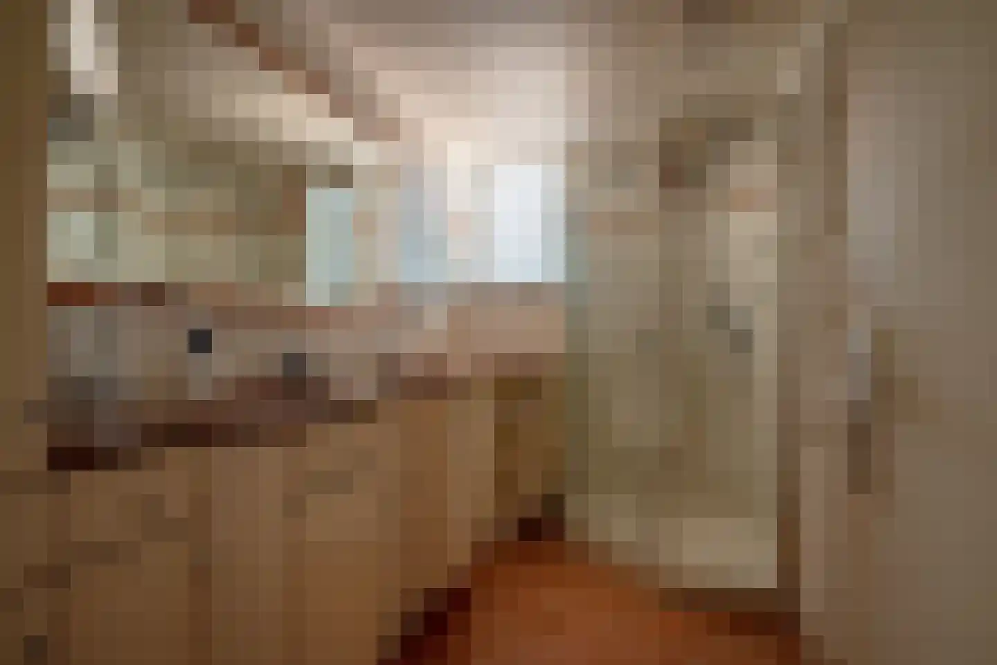 Baarlosedwarsweg 2 Marknesse thumbnail 51