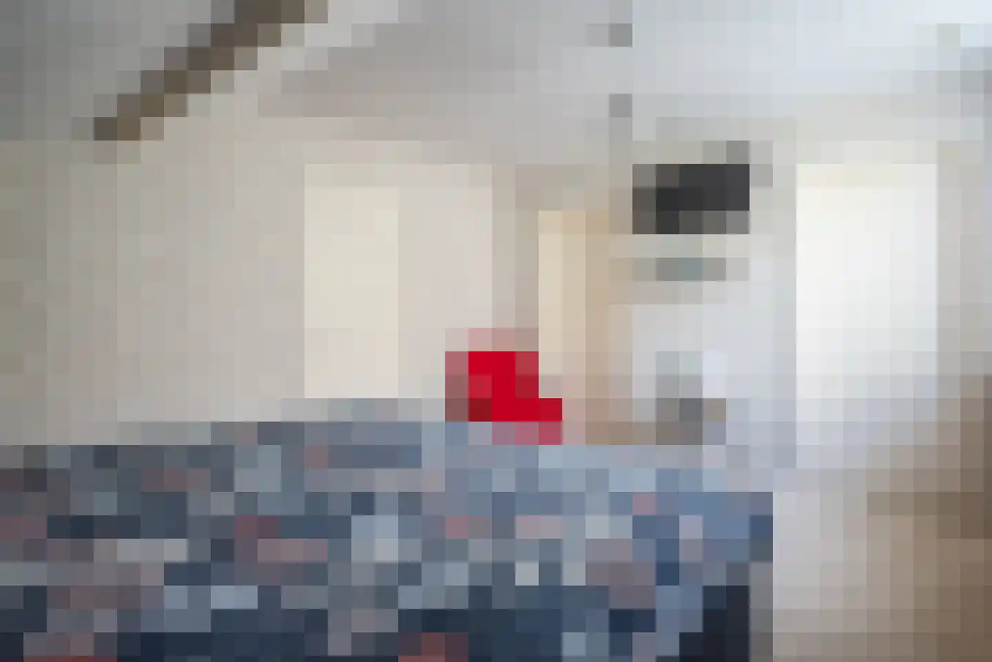 Baarlosedwarsweg 2 Marknesse thumbnail 54